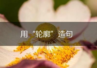 用“轮廓”造句