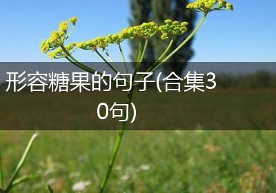 形容糖果的句子(合集30句)