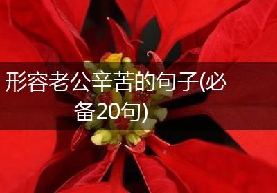 形容老公辛苦的句子(必备20句)