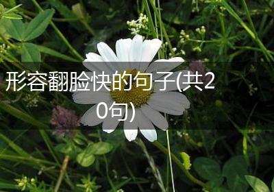 形容翻脸快的句子(共20句)