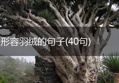 形容羽绒的句子(40句)