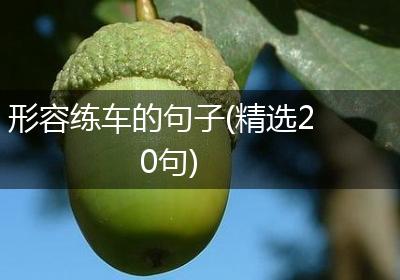 形容练车的句子(精选20句)
