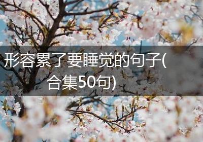 形容累了要睡觉的句子(合集50句)