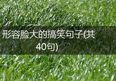 形容脸大的搞笑句子(共40句)