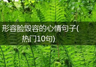 形容脸毁容的心情句子(热门10句)