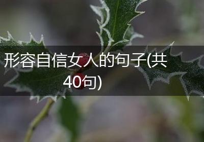 形容自信女人的句子(共40句)
