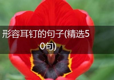 形容耳钉的句子(精选50句)
