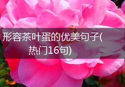 形容茶叶蛋的优美句子(热门16句)
