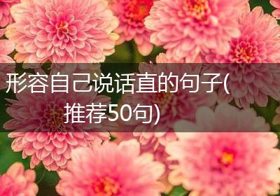 形容自己说话直的句子(推荐50句)