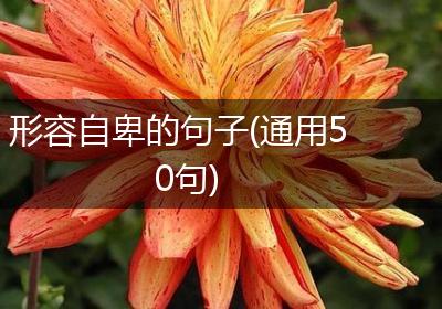 形容自卑的句子(通用50句)