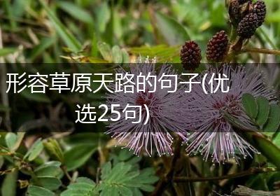 形容草原天路的句子(优选25句)