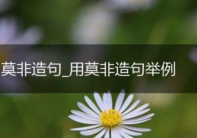 莫非造句_用莫非造句举例