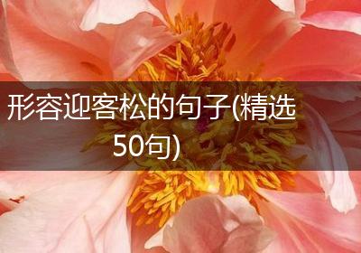 形容迎客松的句子(精选50句)