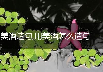 美酒造句,用美酒怎么造句