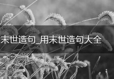 末世造句_用末世造句大全