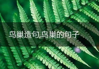 鸟巢造句,鸟巢的句子