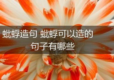 蚍蜉造句 蚍蜉可以造的句子有哪些