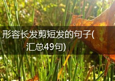 形容长发剪短发的句子(汇总49句)