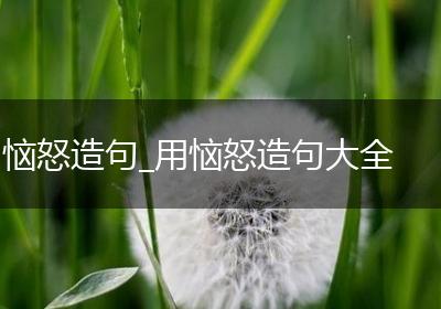 恼怒造句_用恼怒造句大全