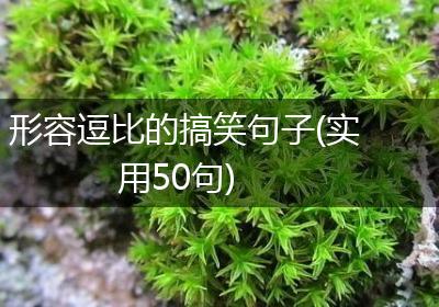 形容逗比的搞笑句子(实用50句)