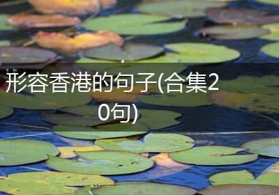 形容香港的句子(合集20句)