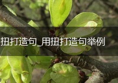 扭打造句_用扭打造句举例