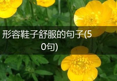 形容鞋子舒服的句子(50句)