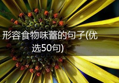形容食物味蕾的句子(优选50句)