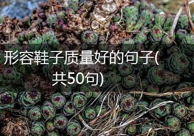 形容鞋子质量好的句子(共50句)