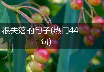 很失落的句子(热门44句)