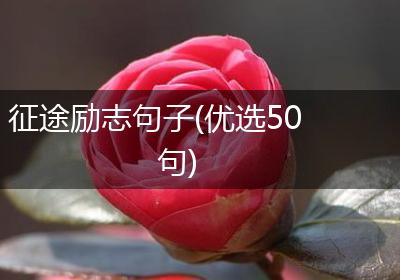 征途励志句子(优选50句)