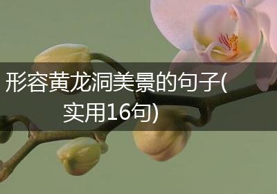形容黄龙洞美景的句子(实用16句)
