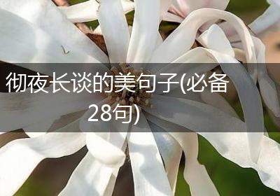 彻夜长谈的美句子(必备28句)