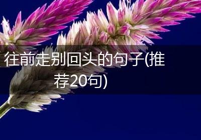 往前走别回头的句子(推荐20句)