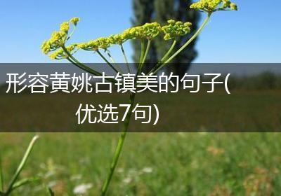 形容黄姚古镇美的句子(优选7句)