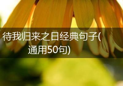 待我归来之日经典句子(通用50句)