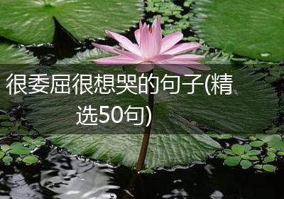 很委屈很想哭的句子(精选50句)