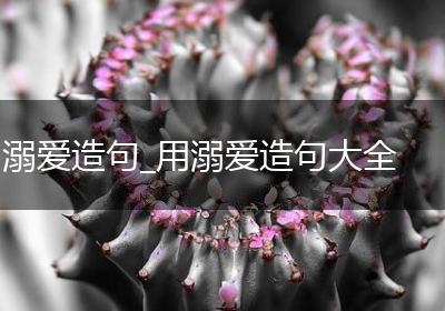 溺爱造句_用溺爱造句大全
