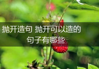 抛开造句 抛开可以造的句子有哪些