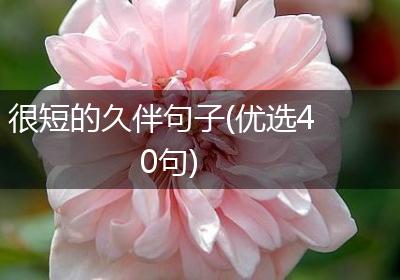 很短的久伴句子(优选40句)