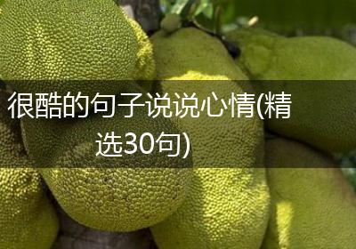很酷的句子说说心情(精选30句)