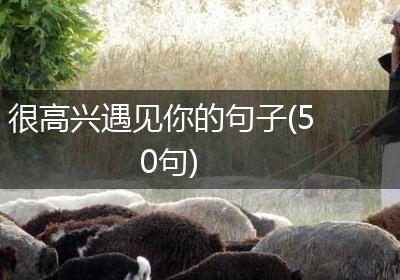 很高兴遇见你的句子(50句)