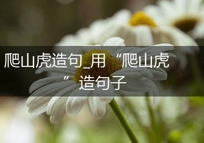 爬山虎造句_用“爬山虎”造句子