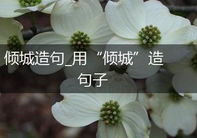 倾城造句_用“倾城”造句子