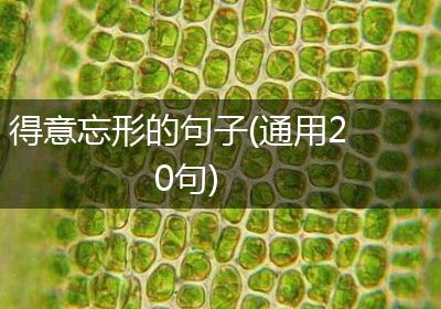 得意忘形的句子(通用20句)