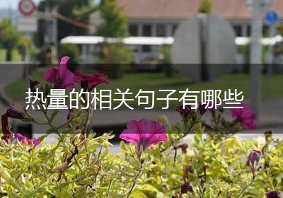 热量的相关句子有哪些