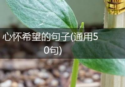 心怀希望的句子(通用50句)