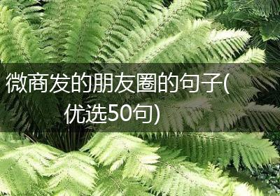 微商发的朋友圈的句子(优选50句)