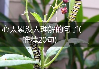 心太累没人理解的句子(推荐20句)