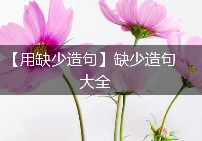 【用缺少造句】缺少造句大全
